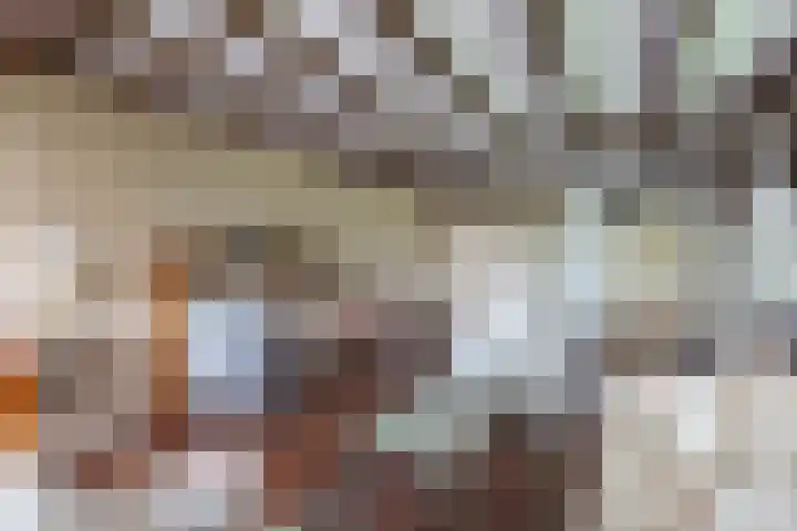 Baarsweg 4 Baars thumbnail 13