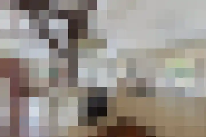 Baarsweg 4 Baars thumbnail 18