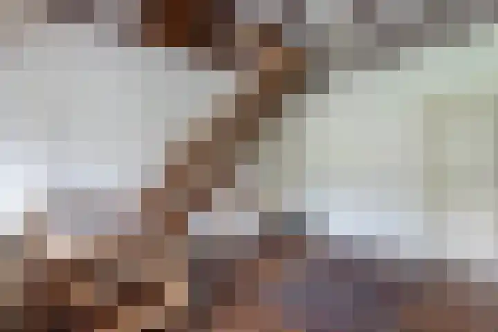 Baarsweg 4 Baars thumbnail 21