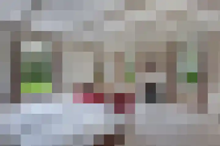 Baarsweg 4 Baars thumbnail 24