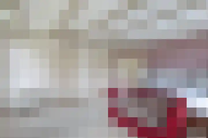 Baarsweg 4 Baars thumbnail 27