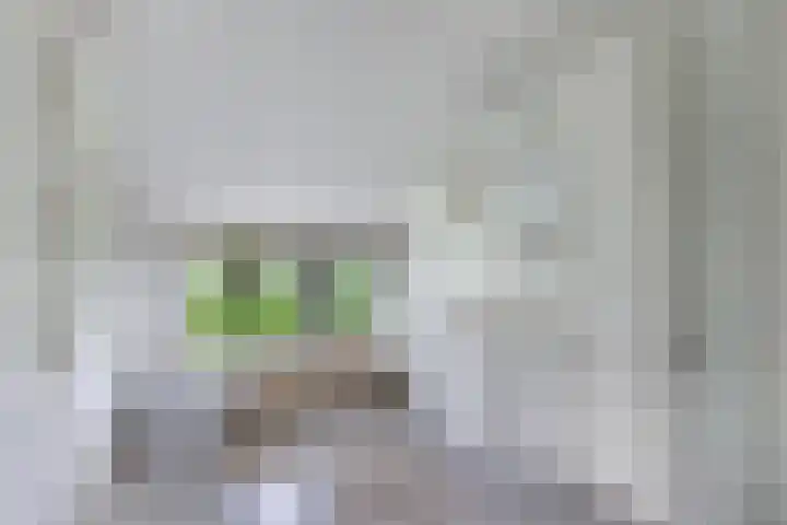 Baarsweg 4 Baars thumbnail 28
