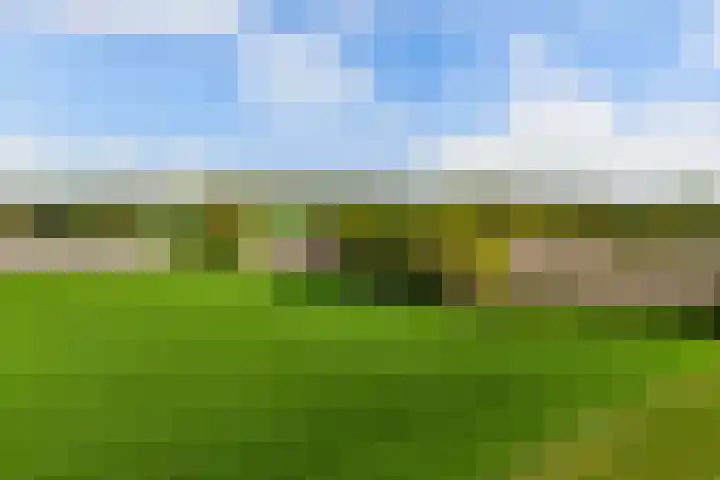 Baarsweg 4 Baars thumbnail 50