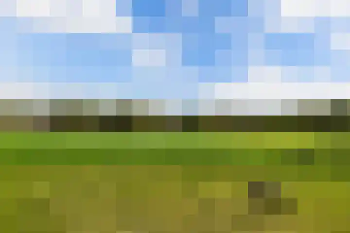 Baarsweg 4 Baars thumbnail 57