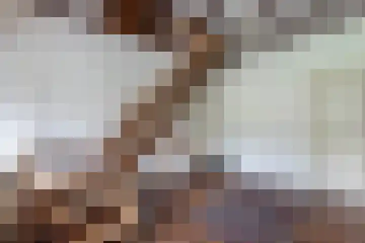 Baarsweg 4 Baars thumbnail 6