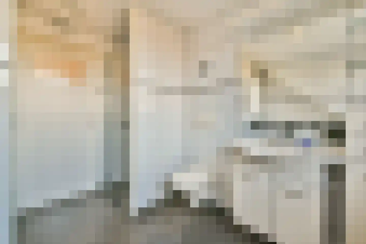 Baartmanstraat 14 Sassenheim thumbnail 15