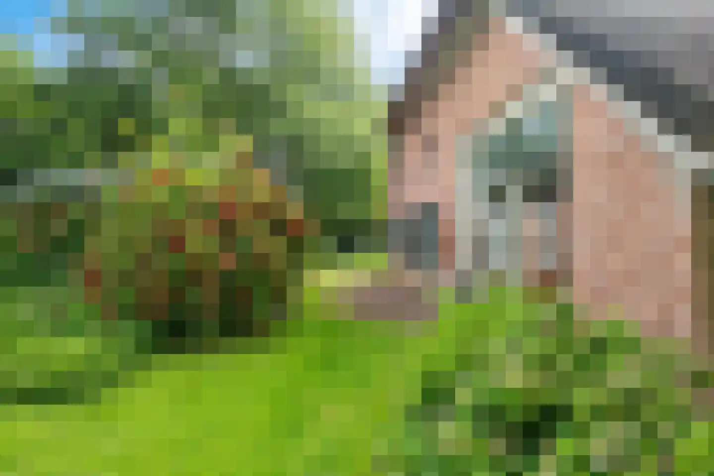 Baarveldweg 4 Eldersloo thumbnail 10