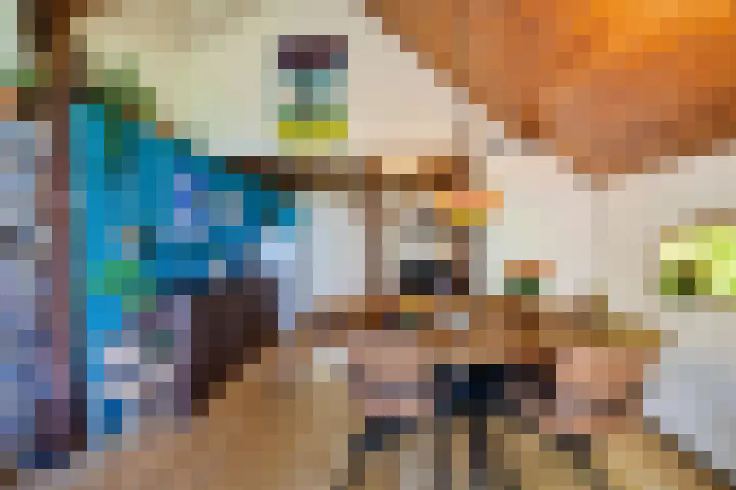 Baarveldweg 4 Eldersloo thumbnail 16