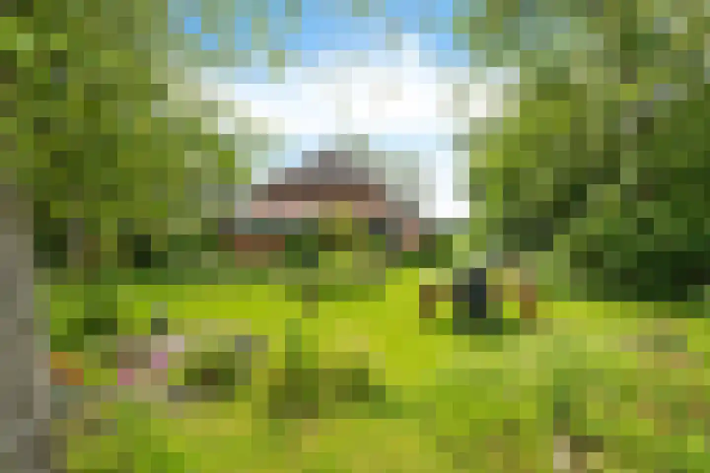 Baarveldweg 4 Eldersloo thumbnail 4