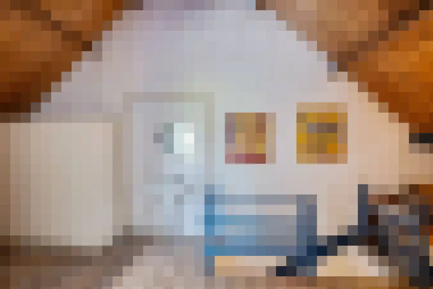 Baarveldweg 4 Eldersloo thumbnail 46