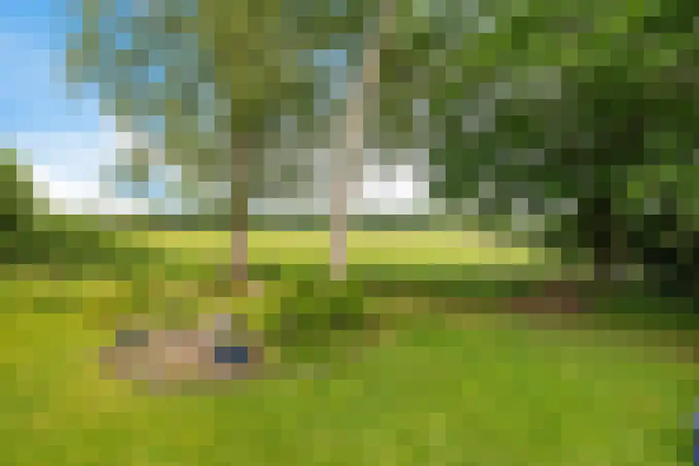 Baarveldweg 4 Eldersloo thumbnail 56
