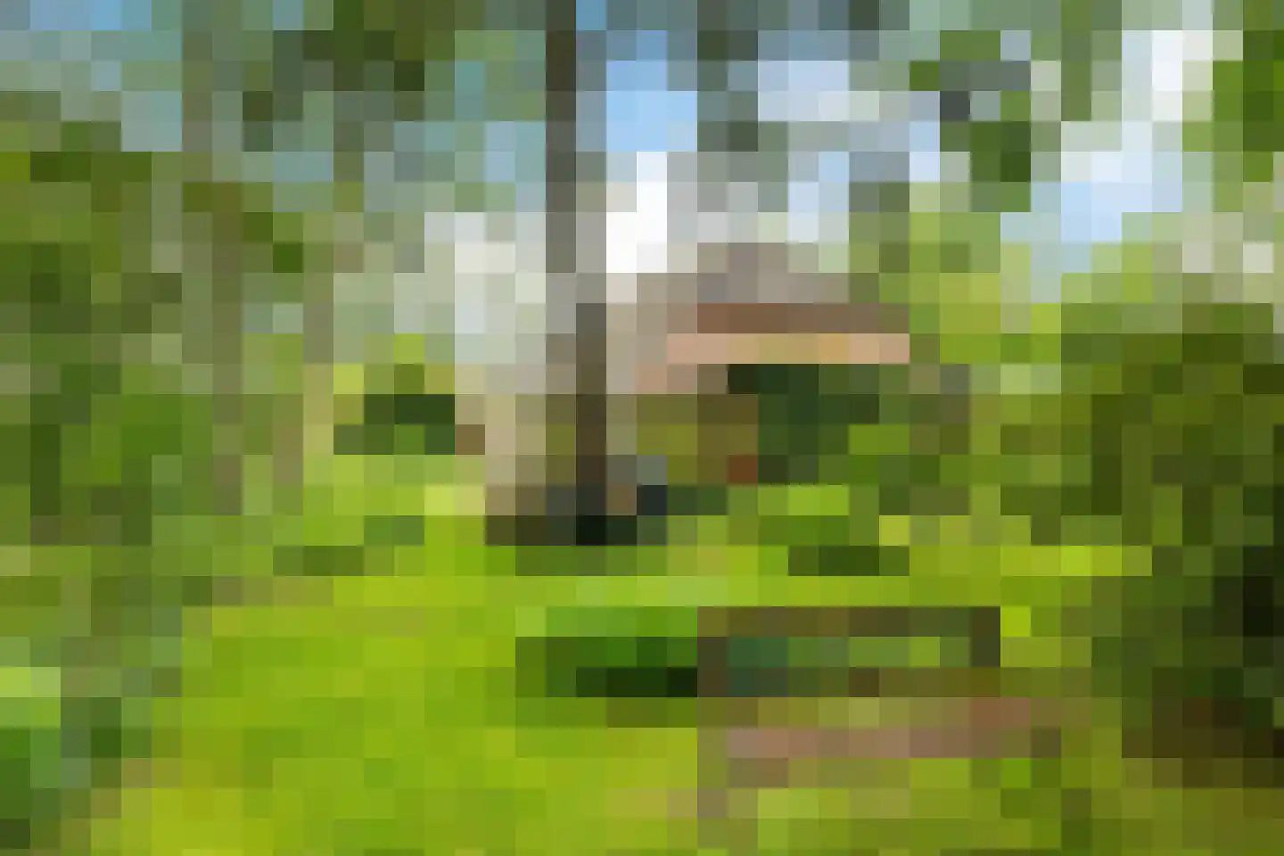 Baarveldweg 4 Eldersloo thumbnail 57