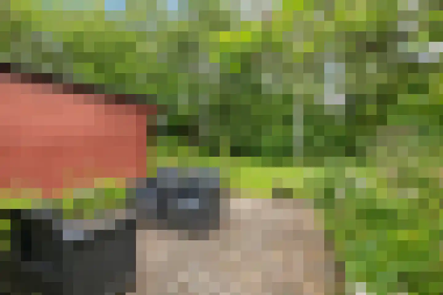 Baarveldweg 4 Eldersloo thumbnail 59