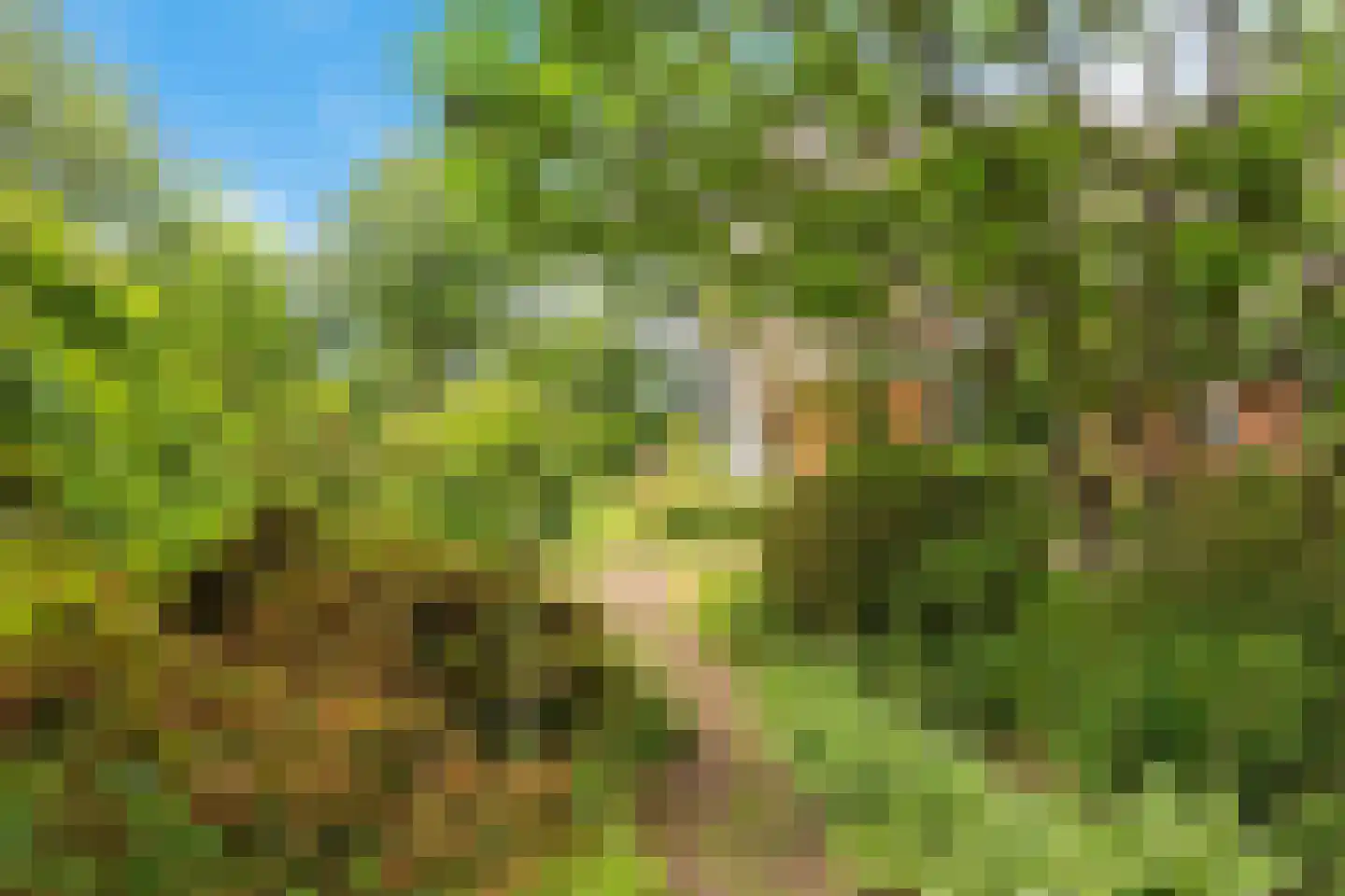 Baarveldweg 4 Eldersloo thumbnail 60