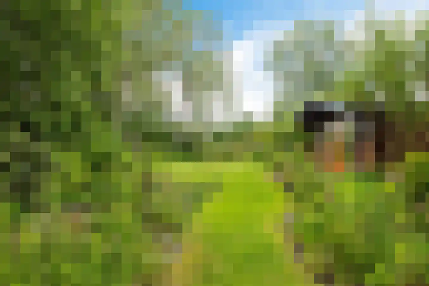Baarveldweg 4 Eldersloo thumbnail 62
