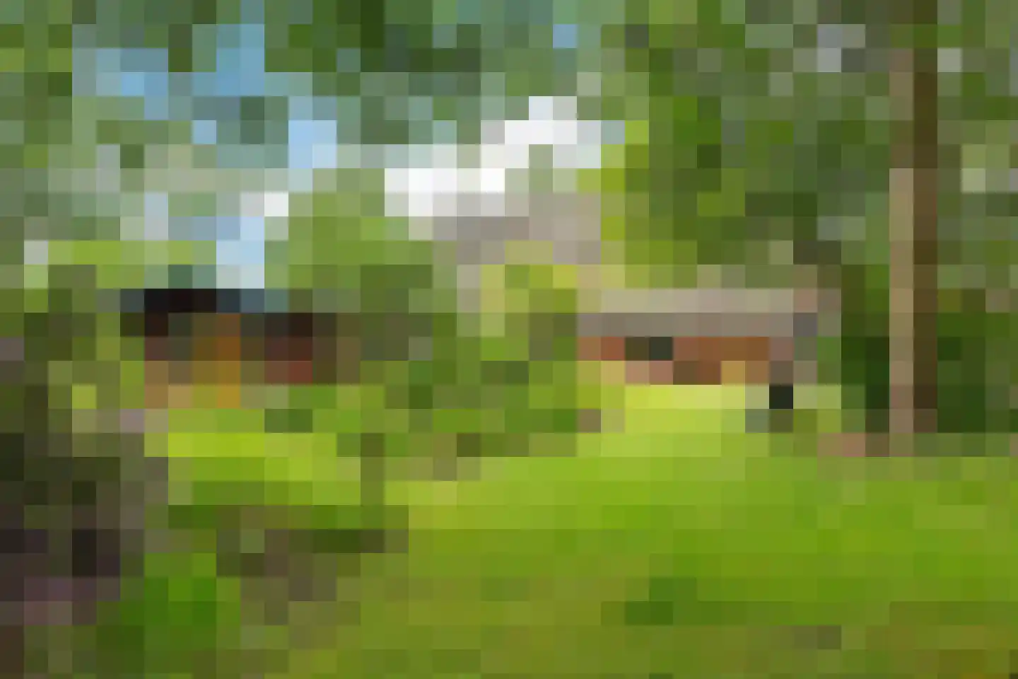Baarveldweg 4 Eldersloo thumbnail 63