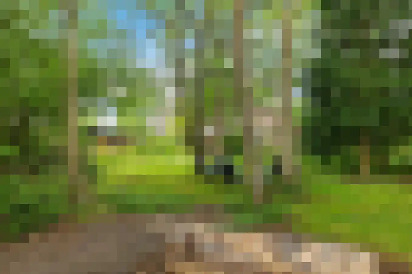 Baarveldweg 4 Eldersloo thumbnail 64