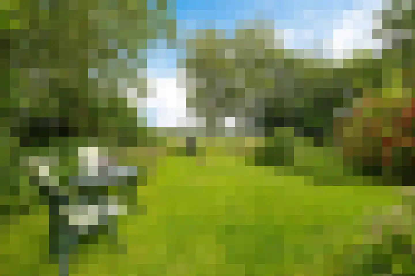 Baarveldweg 4 Eldersloo thumbnail 65