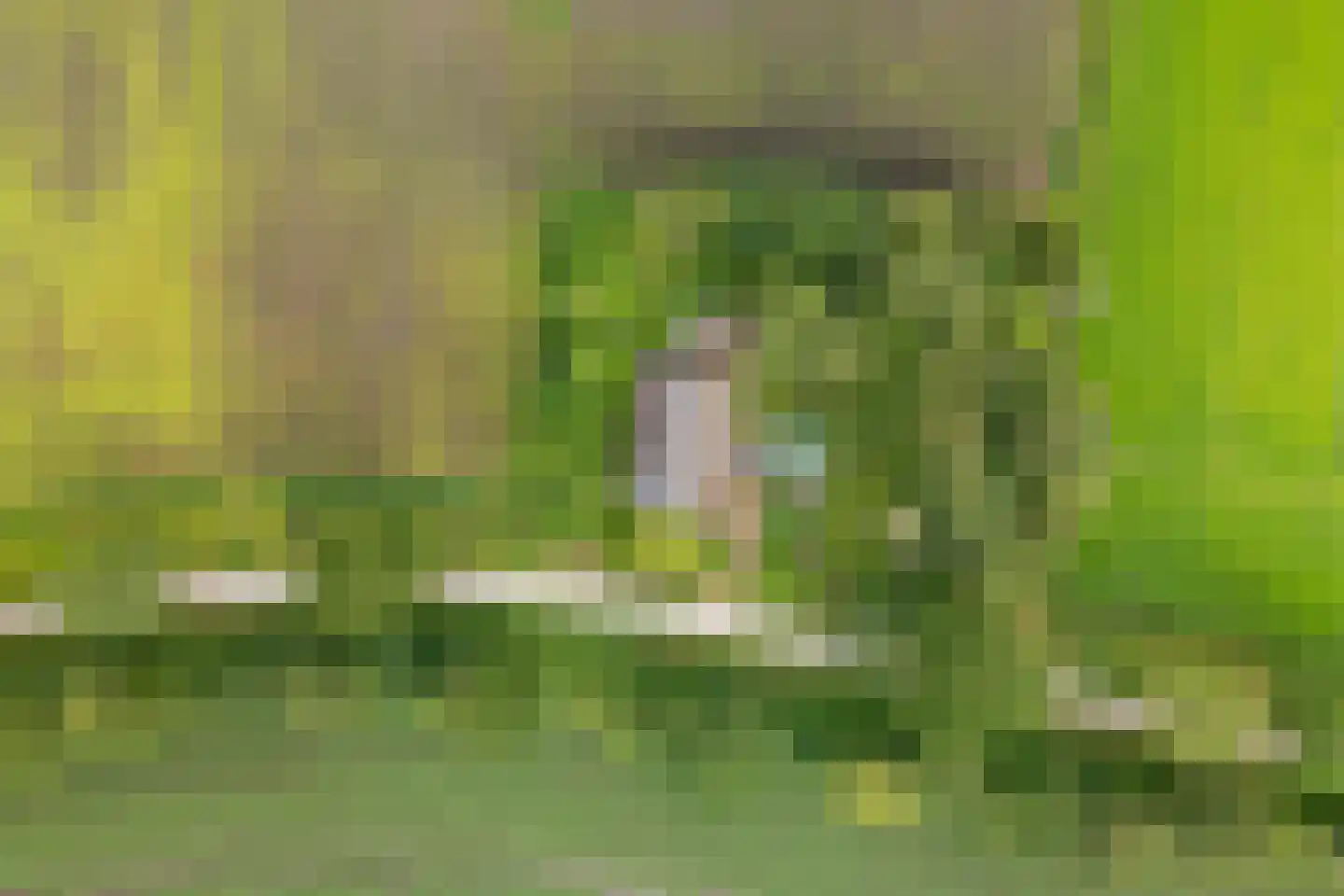 Baarveldweg 4 Eldersloo thumbnail 66