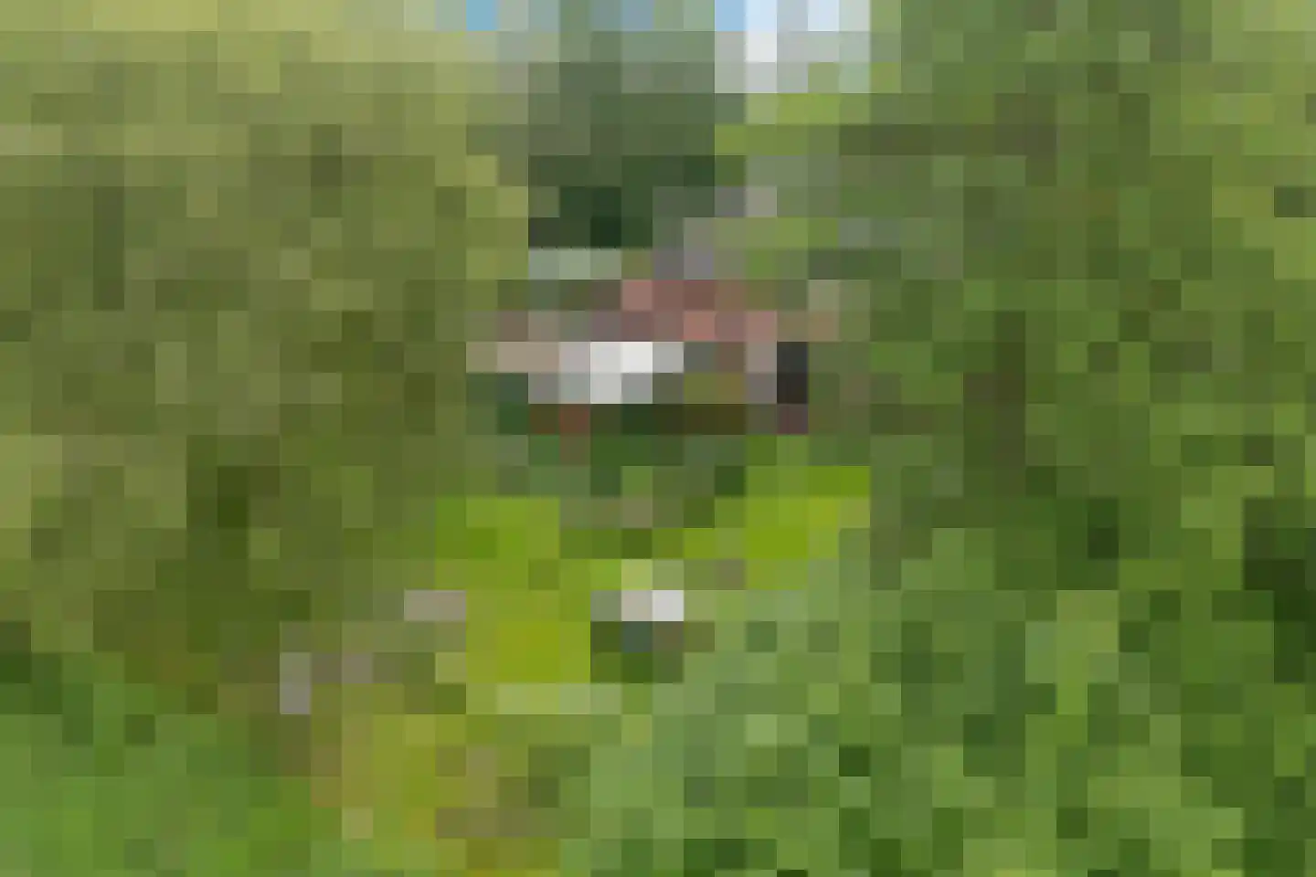 Baarveldweg 4 Eldersloo thumbnail 67