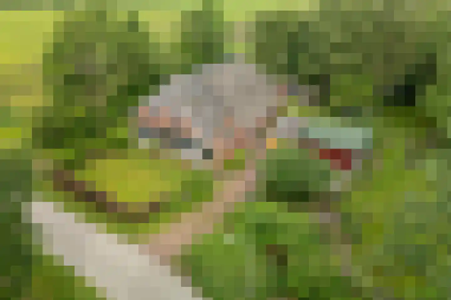 Baarveldweg 4 Eldersloo thumbnail 68