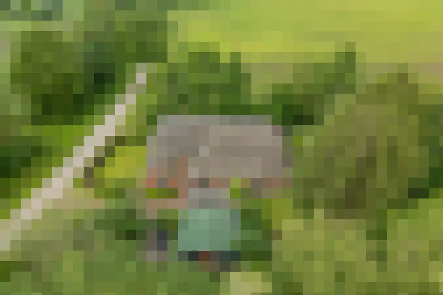 Baarveldweg 4 Eldersloo thumbnail 69