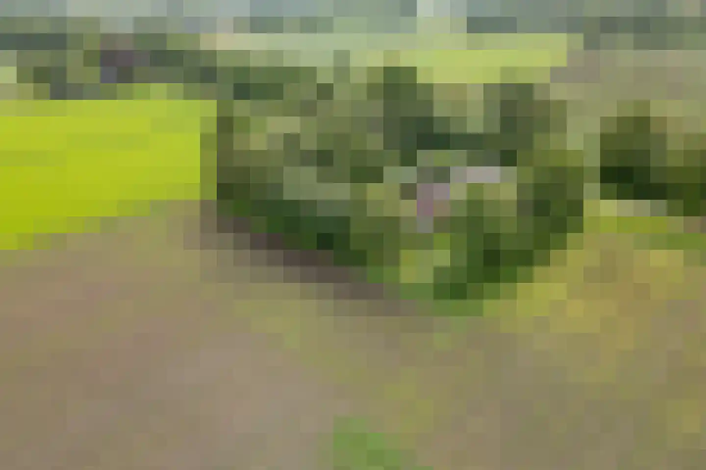 Baarveldweg 4 Eldersloo thumbnail 70