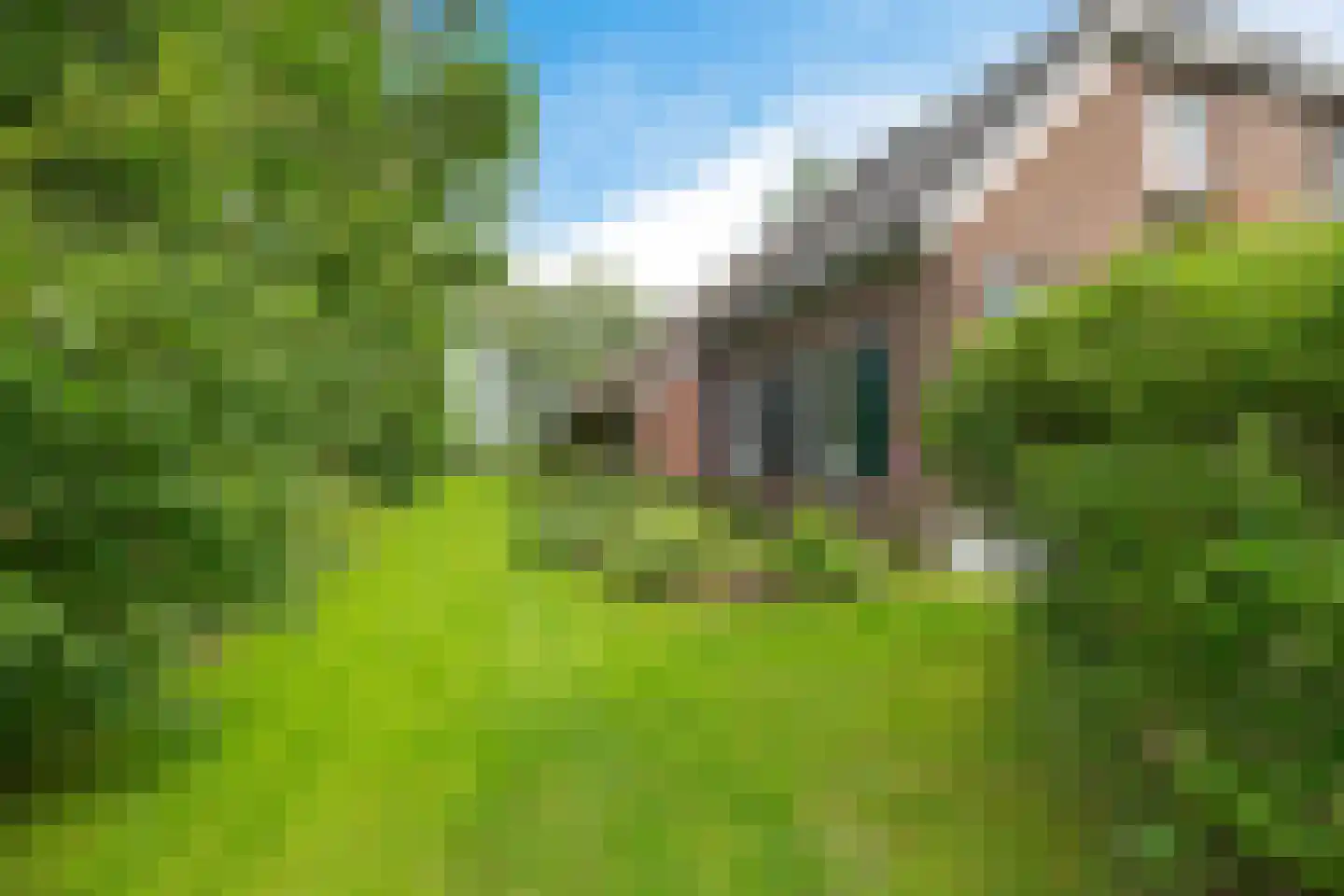 Baarveldweg 4 Eldersloo thumbnail 8