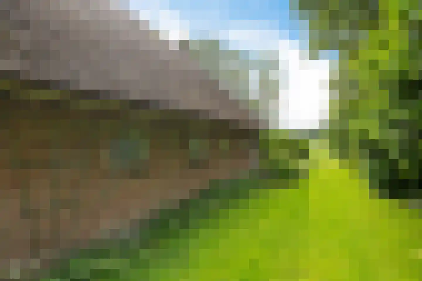 Baarveldweg 4 Eldersloo thumbnail 9