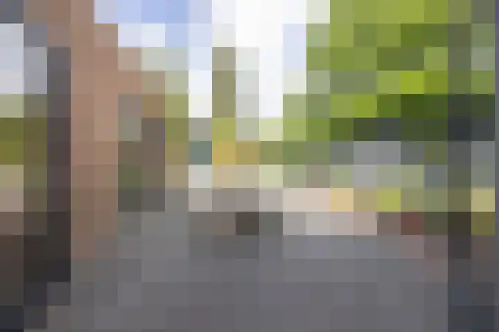 Baarzenstraat 20 A Vught thumbnail 18
