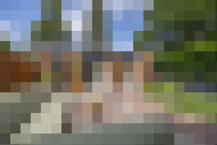 Baarzenstraat 20 A Vught thumbnail 32