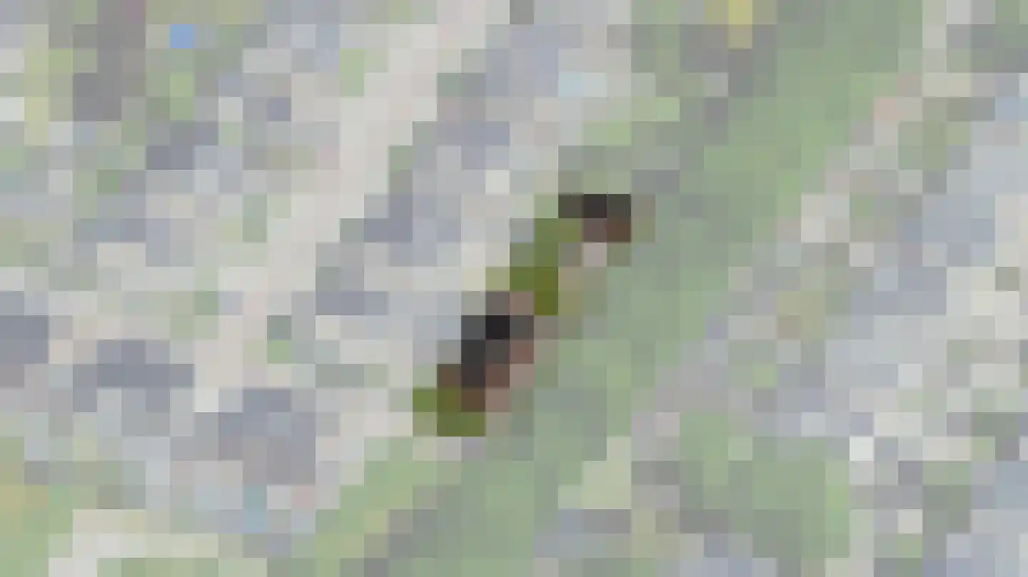 Baas de Zoetenlaan 1 Veenendaal foto 2