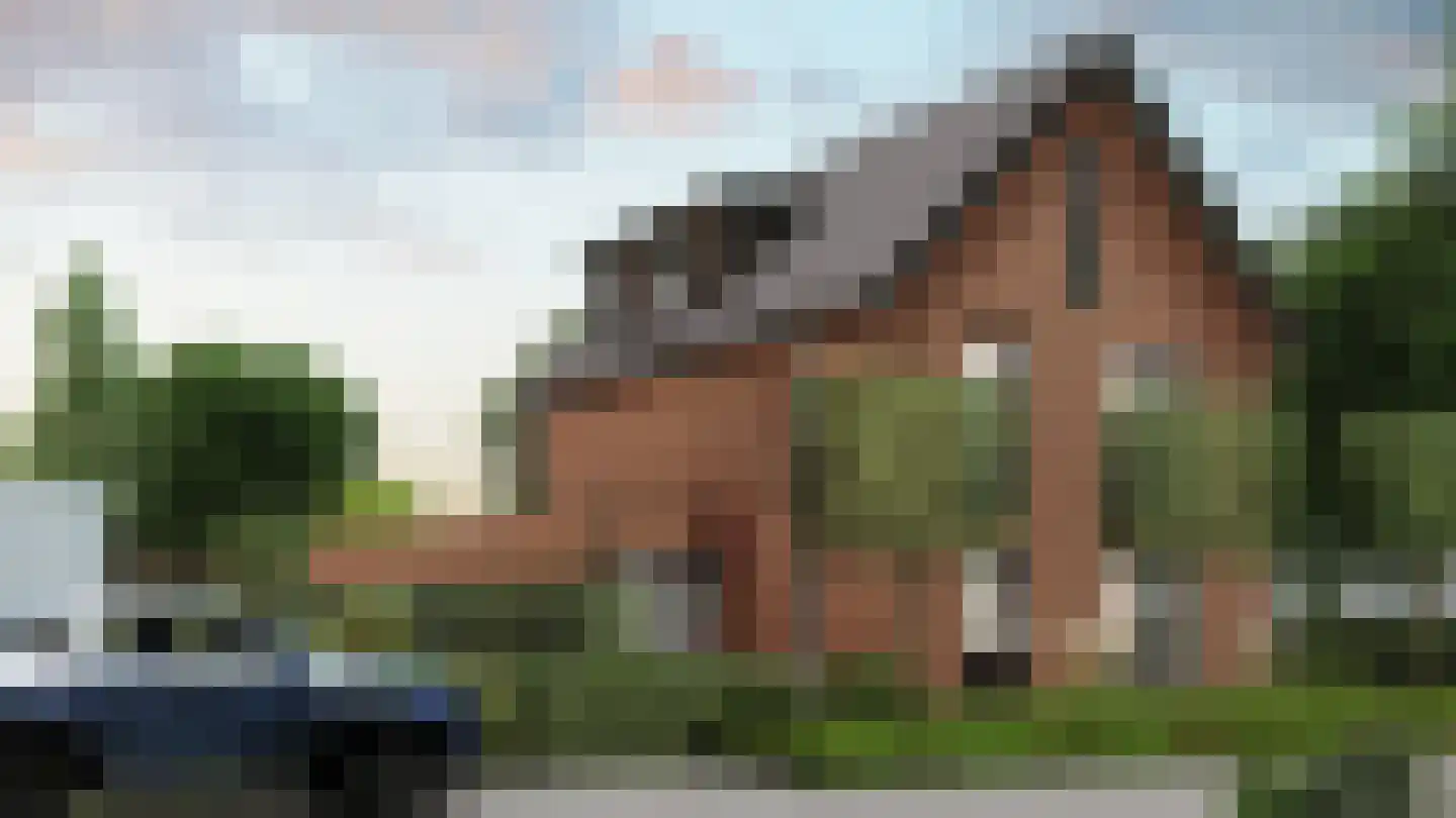 Baas de Zoetenlaan 1 Veenendaal foto 3