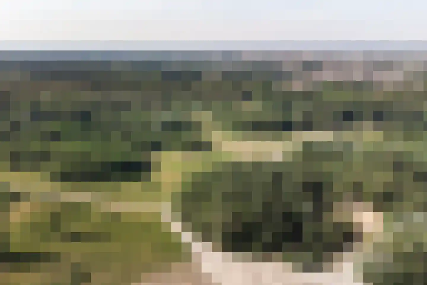 Baas de Zoetenlaan 1 Veenendaal thumbnail 9