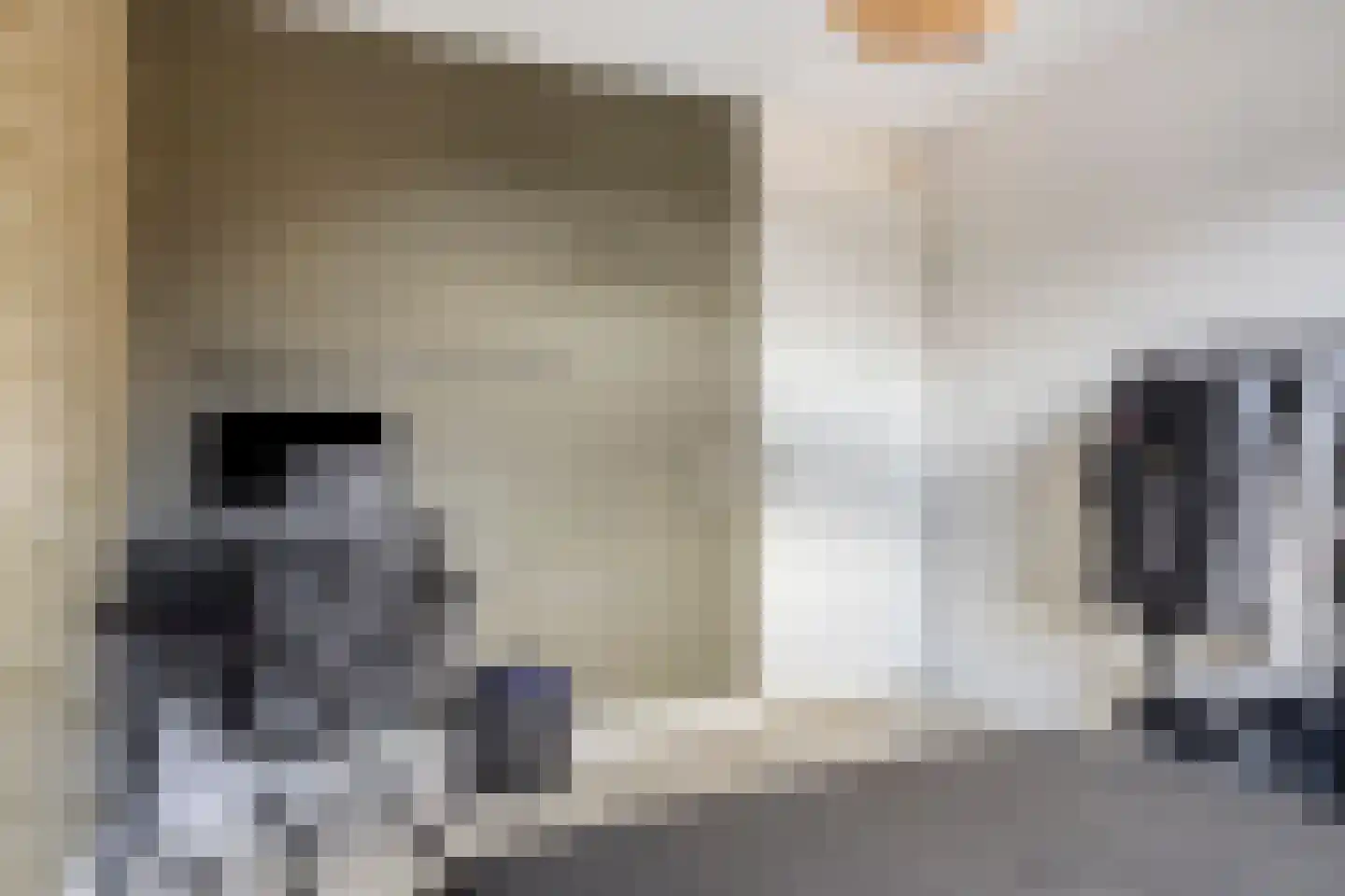 Baas de Zoetenlaan 6 Rhenen thumbnail 20