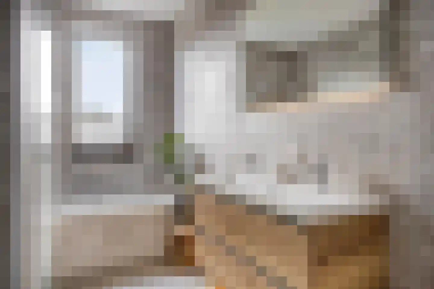 Baas de Zoetenlaan 6 Rhenen thumbnail 25