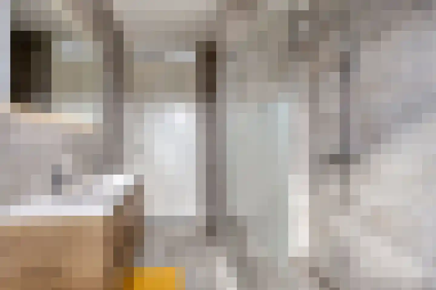 Baas de Zoetenlaan 6 Rhenen thumbnail 26
