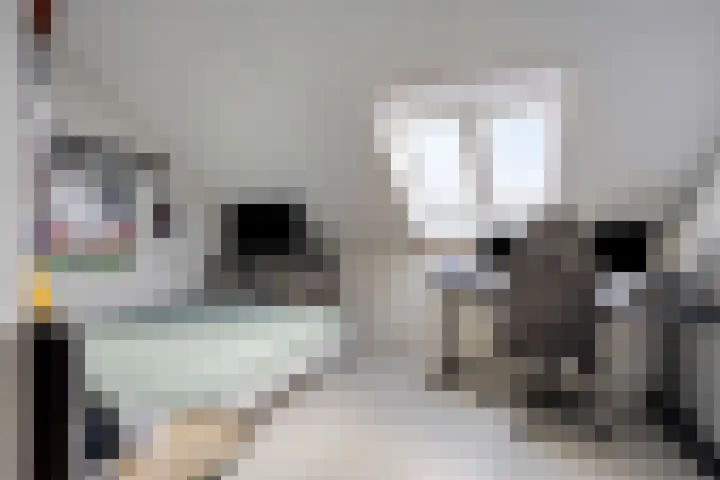 Baas de Zoetenlaan 6 Rhenen thumbnail 27