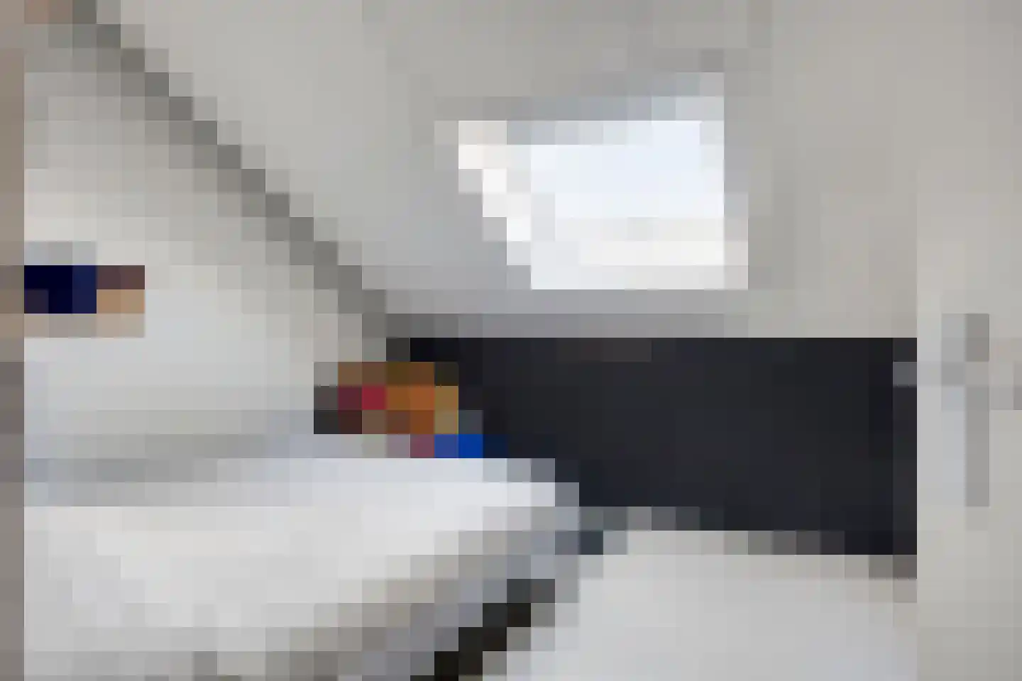 Baas de Zoetenlaan 6 Rhenen thumbnail 31