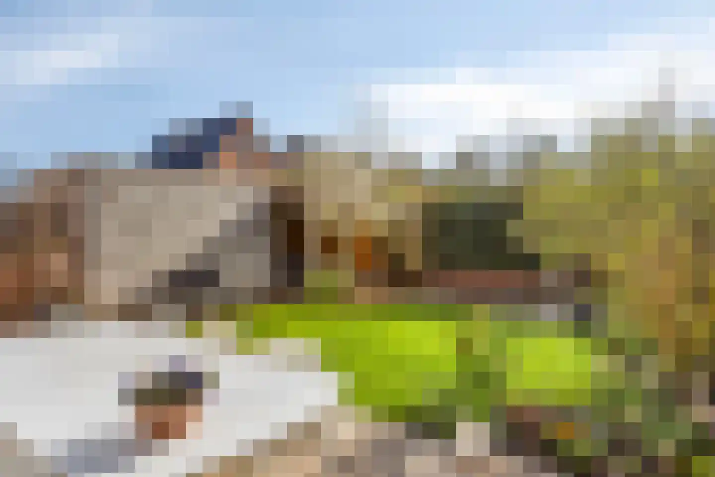 Baas de Zoetenlaan 6 Rhenen thumbnail 34