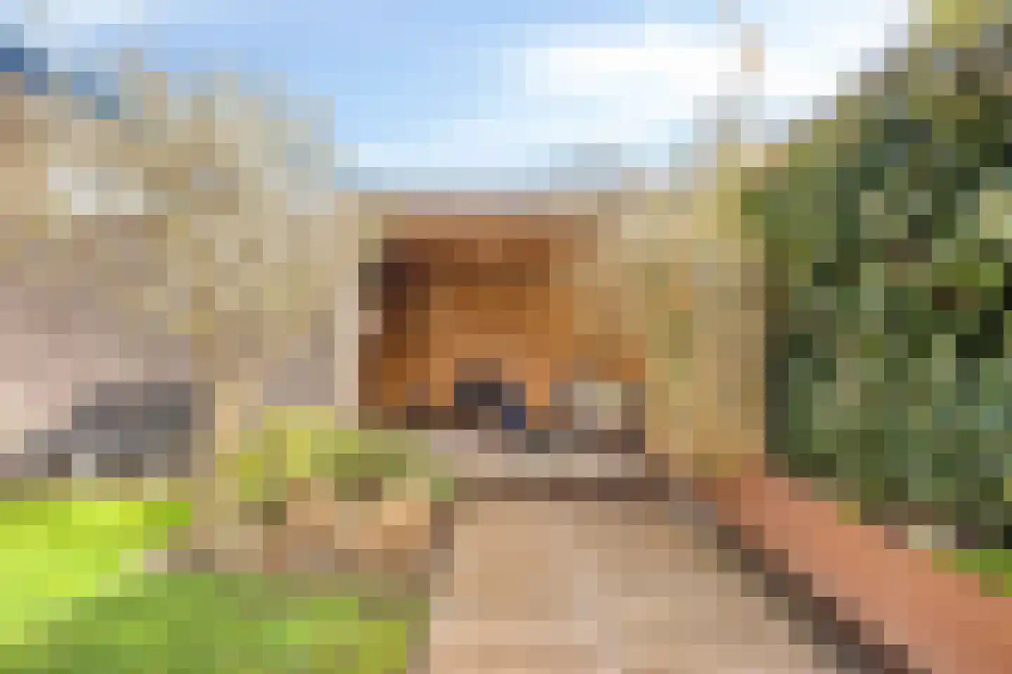 Baas de Zoetenlaan 6 Rhenen thumbnail 36