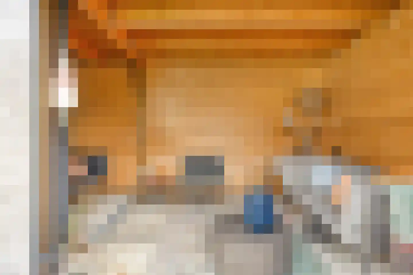 Baas de Zoetenlaan 6 Rhenen thumbnail 37
