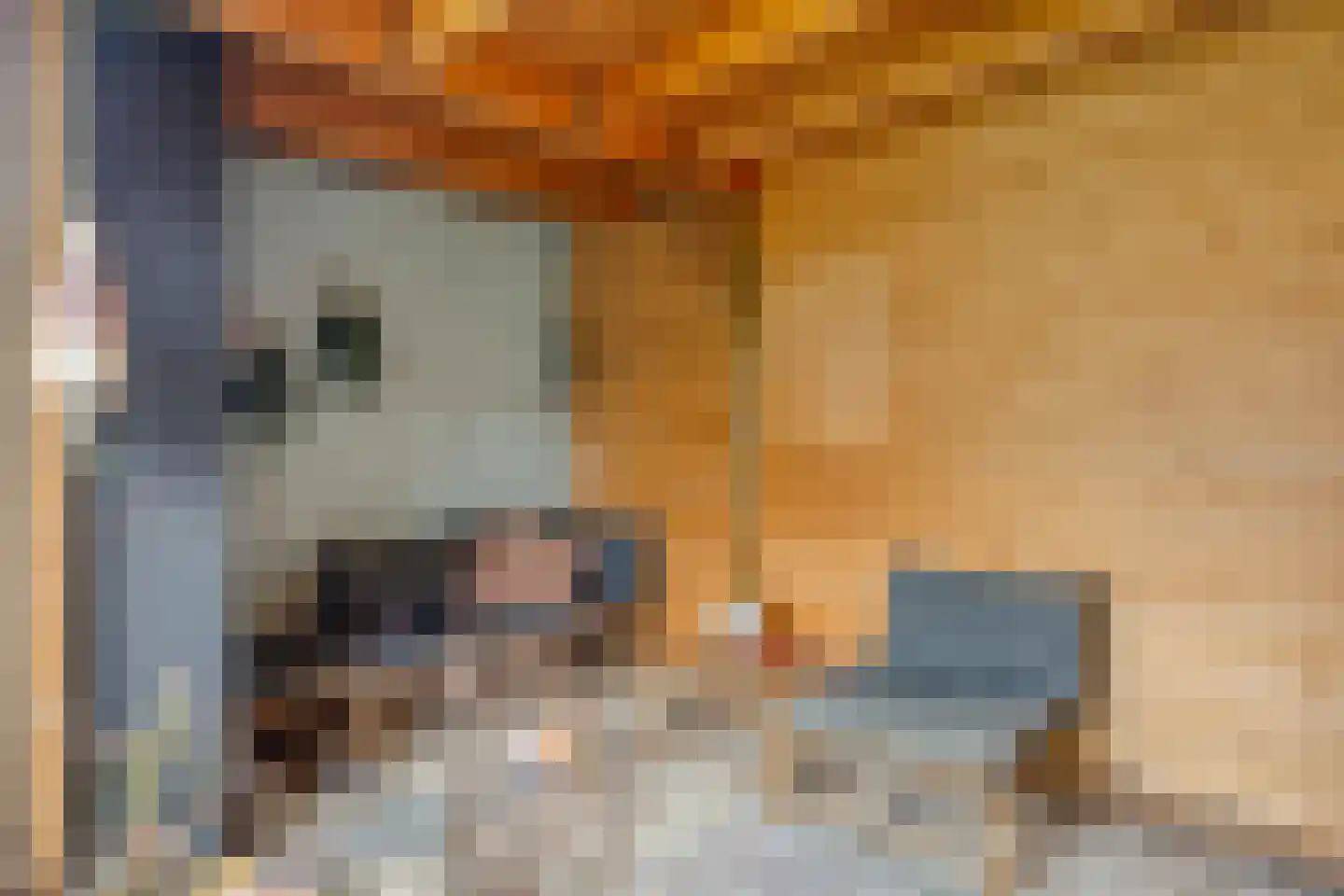 Baas de Zoetenlaan 6 Rhenen thumbnail 38