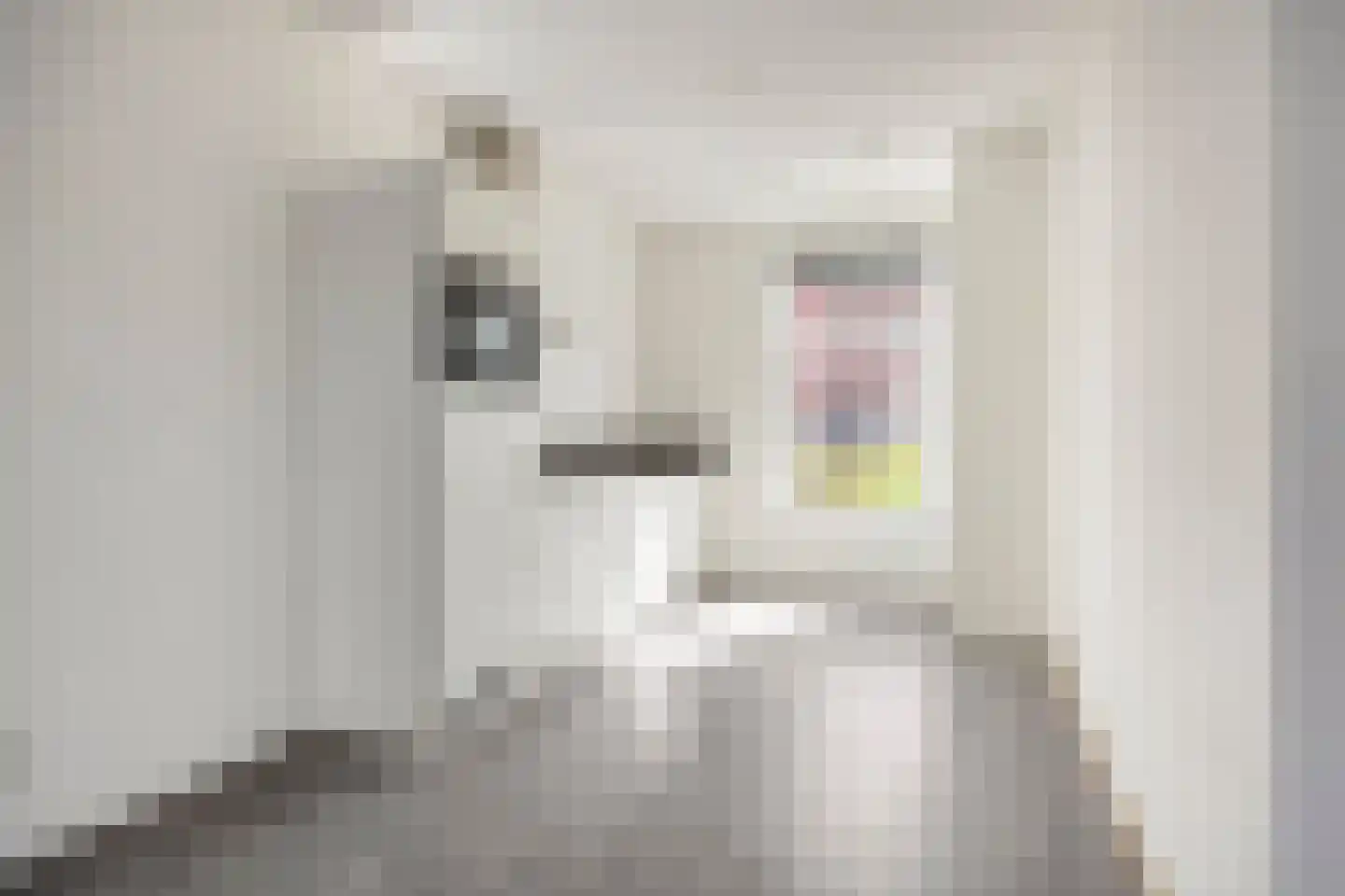 Baas en Domburgstraat 31 Bodegraven thumbnail 6