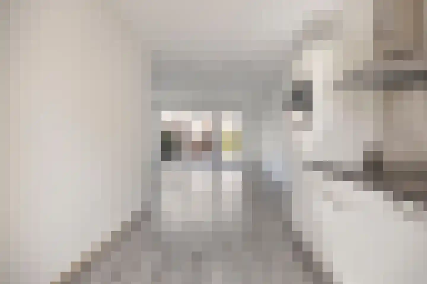 Baas en Domburgstraat 31 Bodegraven thumbnail 8