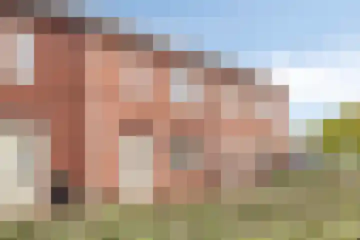 Baas en Domburgstraat 37 Bodegraven thumbnail 31