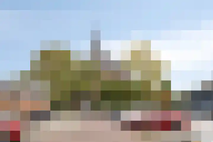 Baas en Domburgstraat 37 Bodegraven thumbnail 34