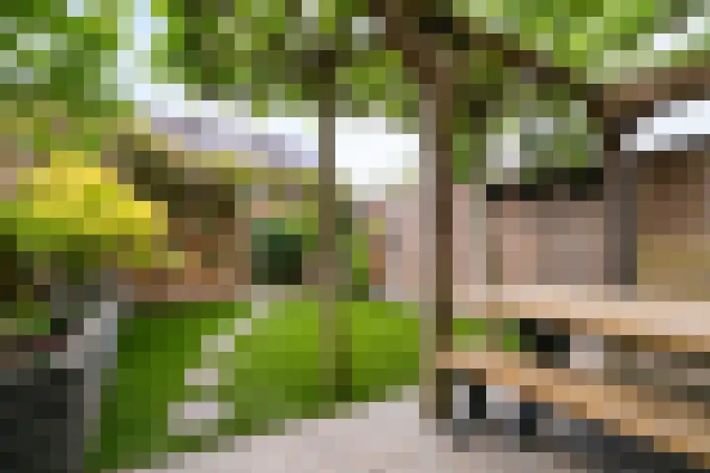 Baas en Domburgstraat 59 Bodegraven thumbnail 27