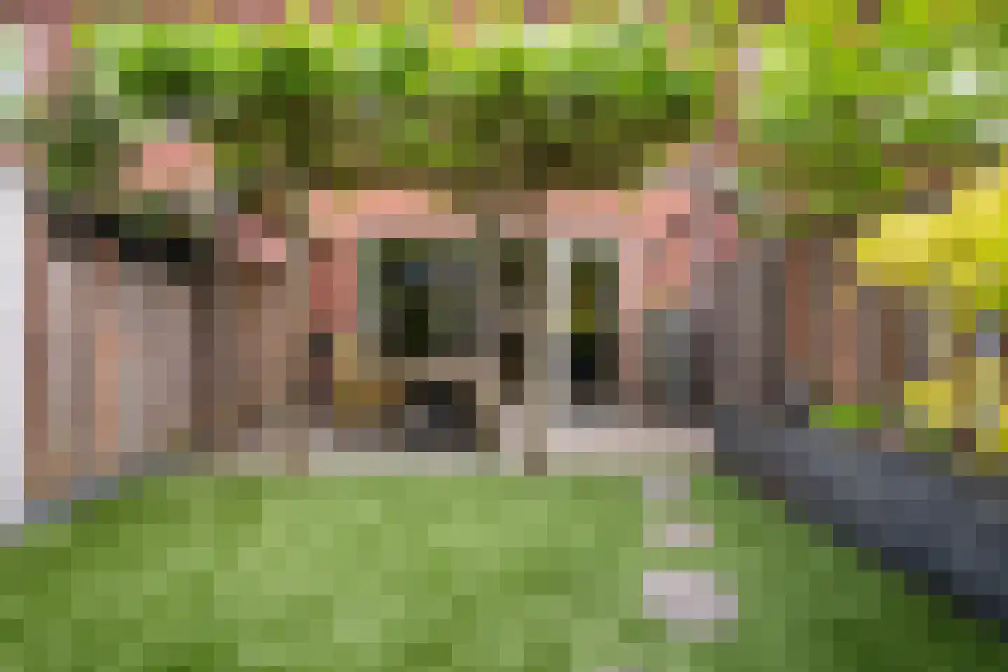 Baas en Domburgstraat 59 Bodegraven thumbnail 29