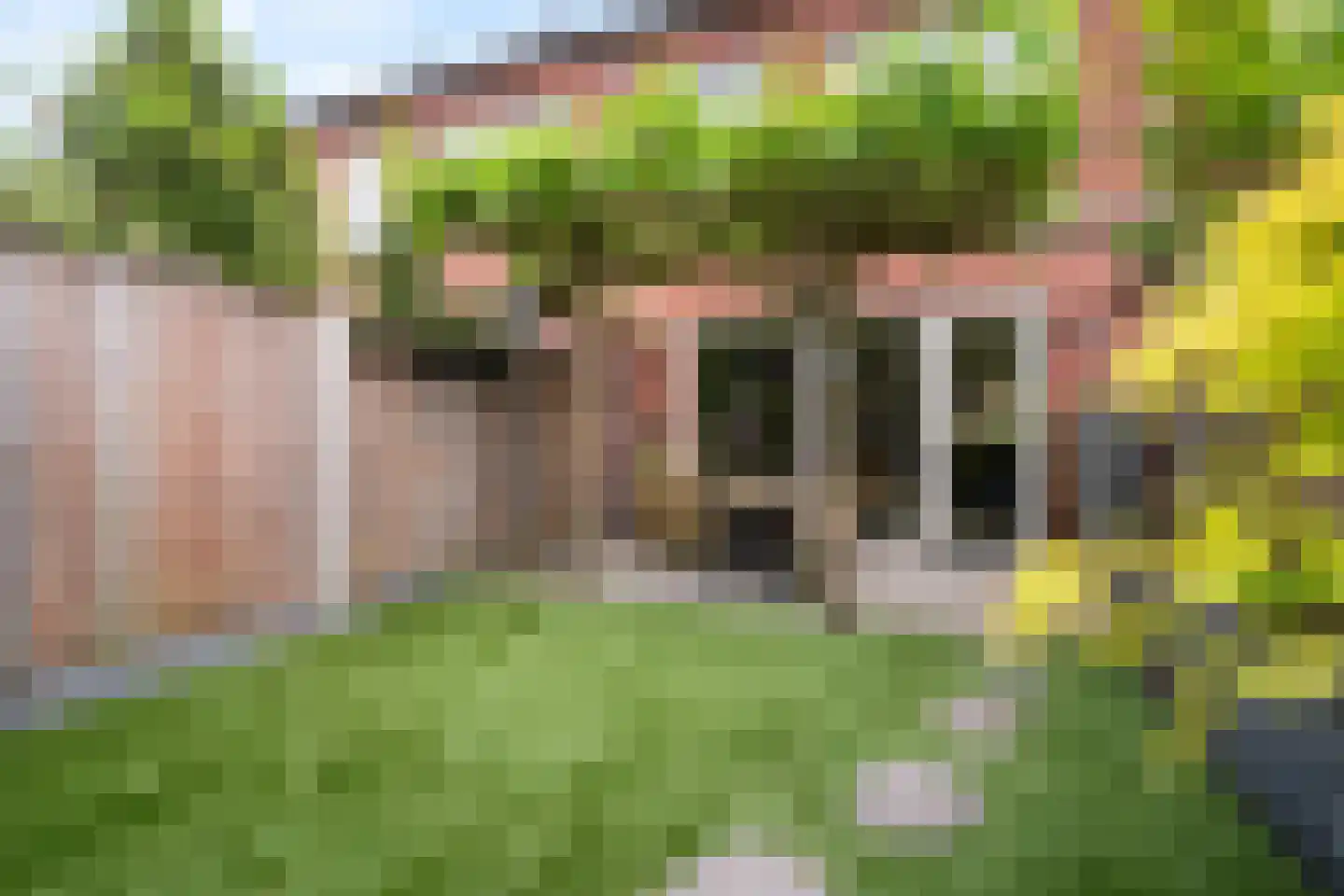 Baas en Domburgstraat 59 Bodegraven thumbnail 5